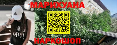 тгк Бийск