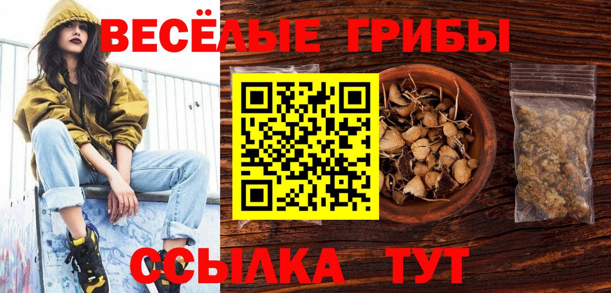 Псилоцибиновые грибы мухоморы  магазин    Карпинск  Вход с VPN 