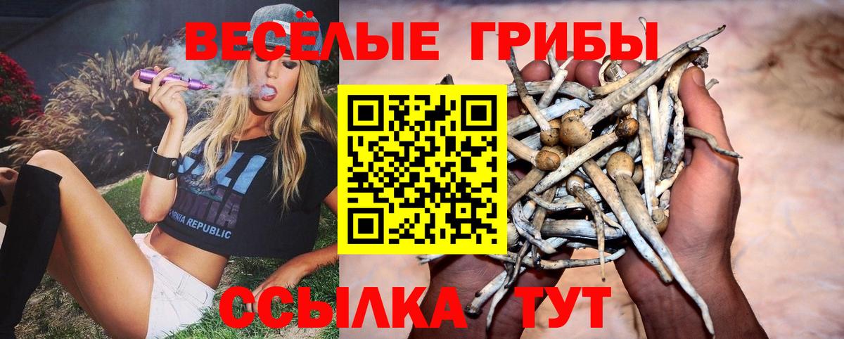 Галлюциногенные грибы мицелий Карпинск